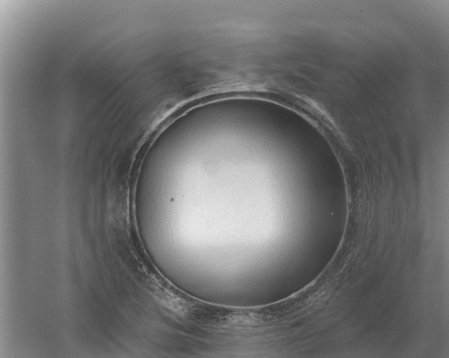 X0000060561220200511101555