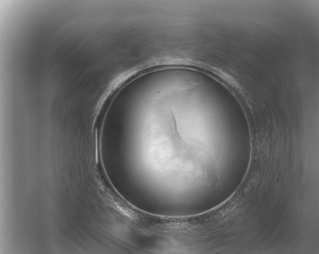 X0000060561223200511101555