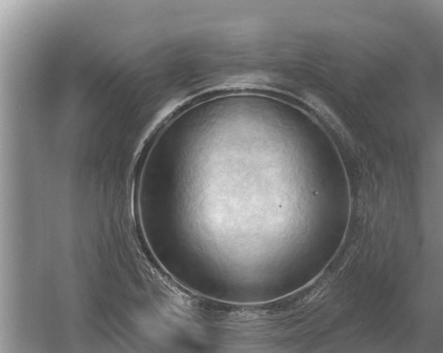 X0000060561224200511101555