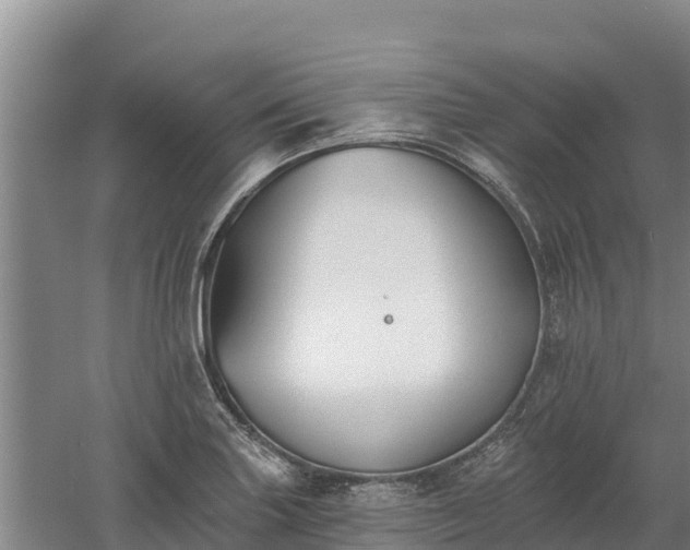 X0000060561227200511101555