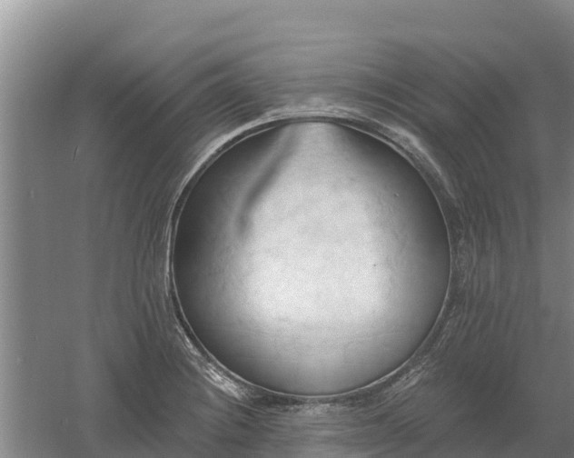 X0000060561228200511101555