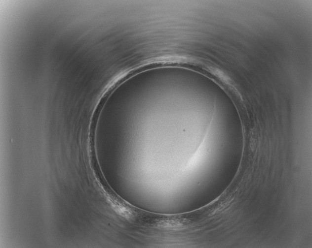 X0000060561229200511101555