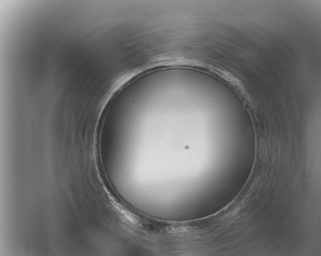 X0000060561231200511101555