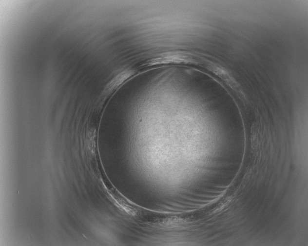 X0000060561233200511101555