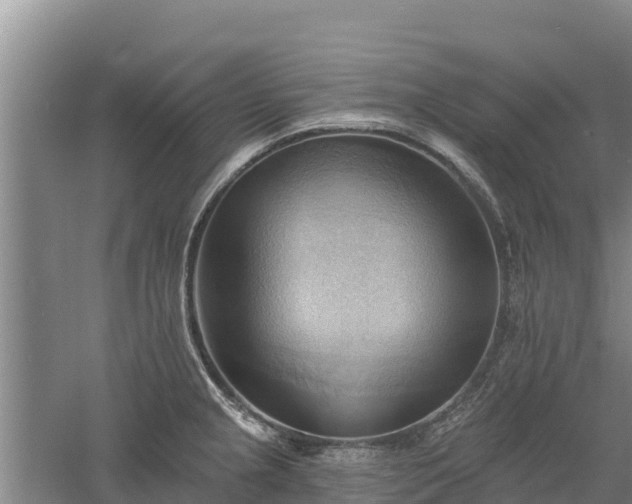 X0000060561237200511101555