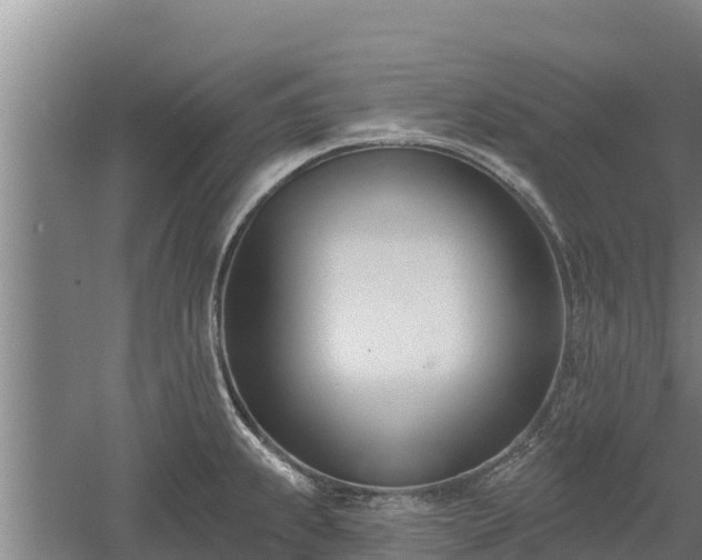 X0000060561239200511101555