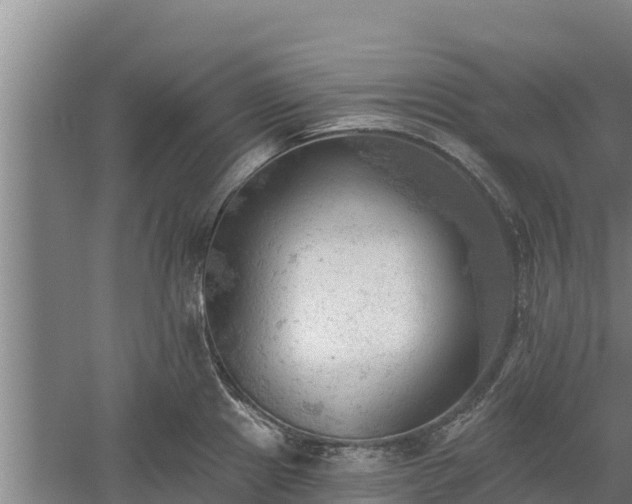 X0000060561241200511101555