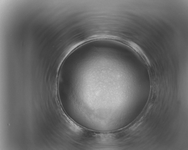 X0000060561244200511101555