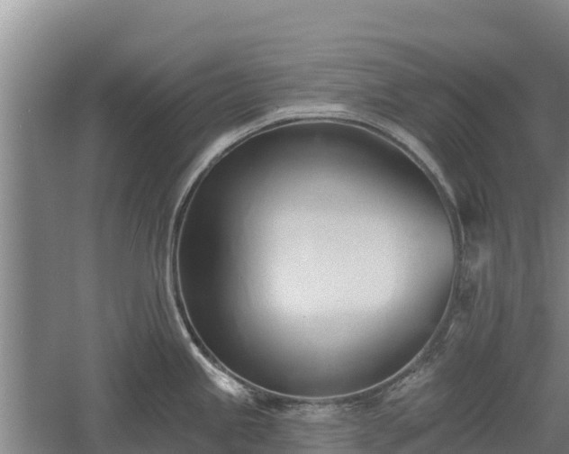 X0000060561245200511101555