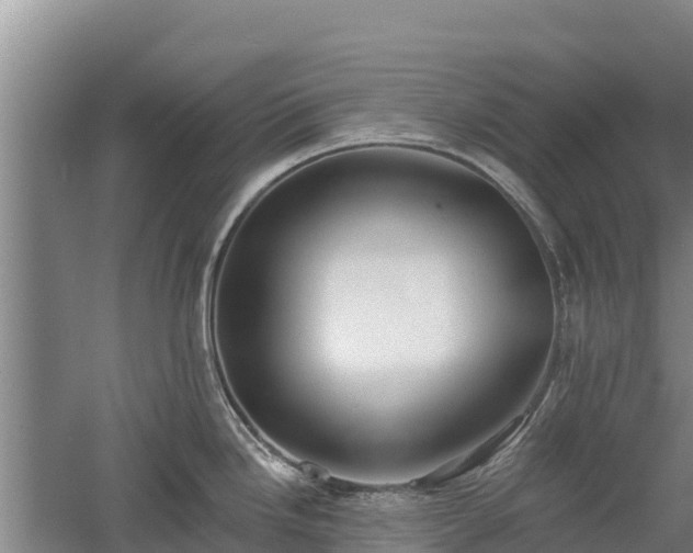 X0000060561246200511101555