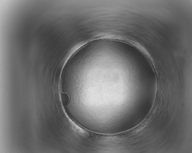 X0000060561247200511101555