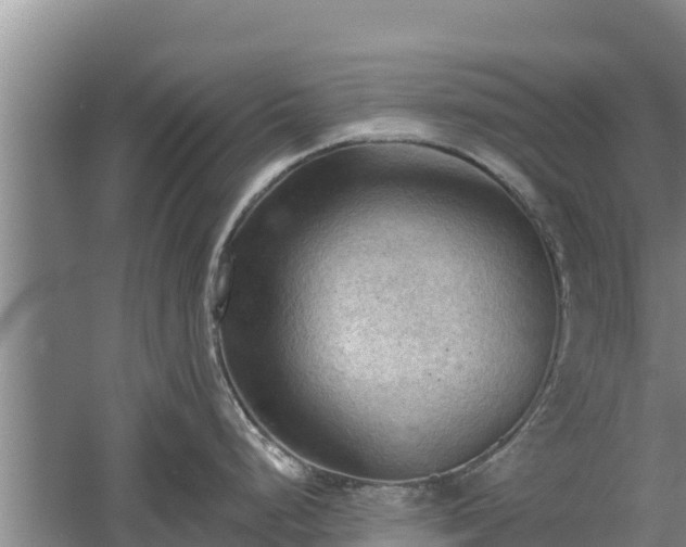 X0000060561248200511101555