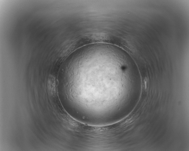 X0000060561251200511101554