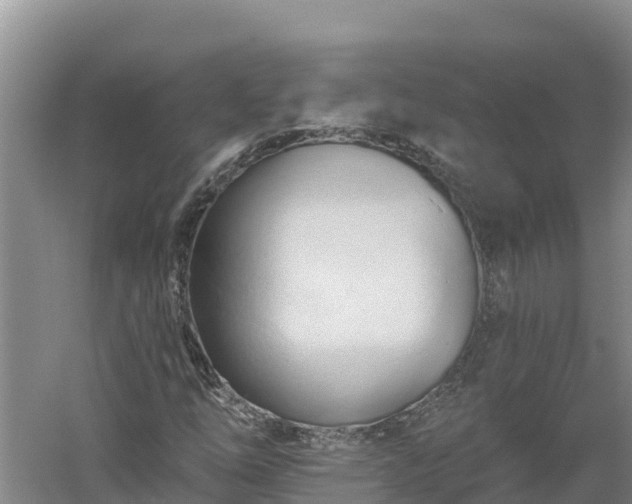 X0000060561254200511101554