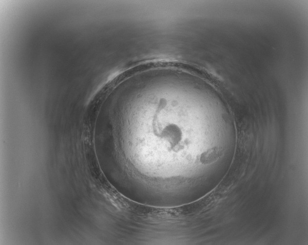 X0000060561255200511101554