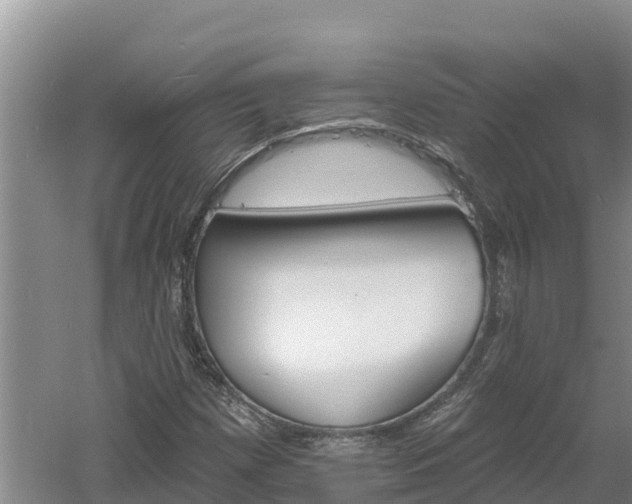 X0000060561257200511101554