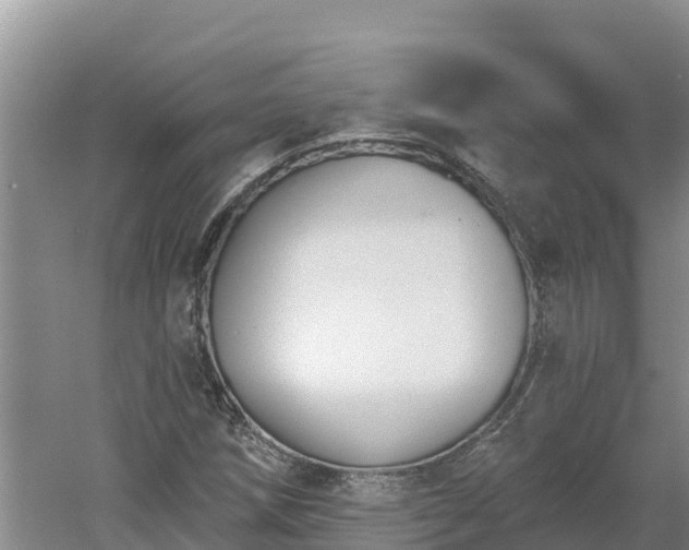 X0000060561258200511101554