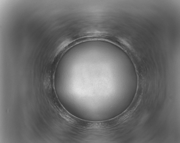 X0000060561259200511101554