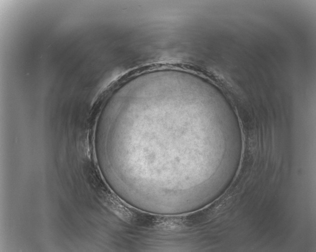 X0000060561262200511101554