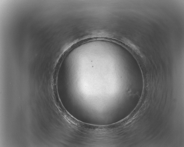 X0000060561264200511101554