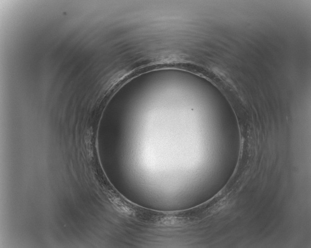 X0000060561265200511101554