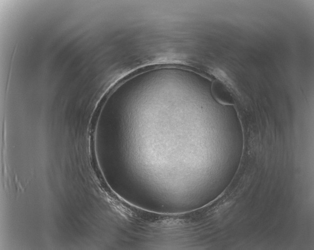 X0000060561268200511101554