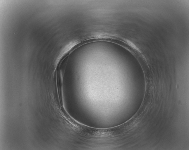 X0000060561269200511101554