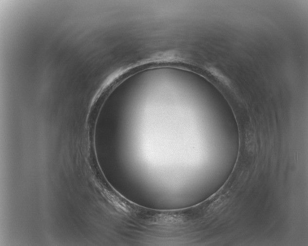 X0000060561270200511101554