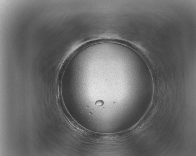 X0000060561271200511101554