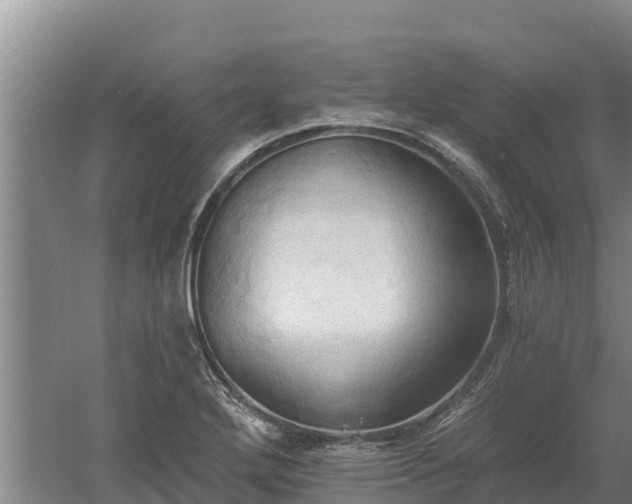 X0000060561272200511101554