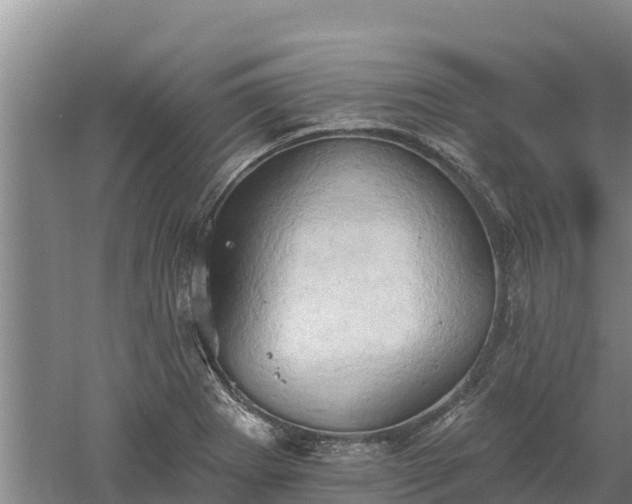 X0000060561273200511101554