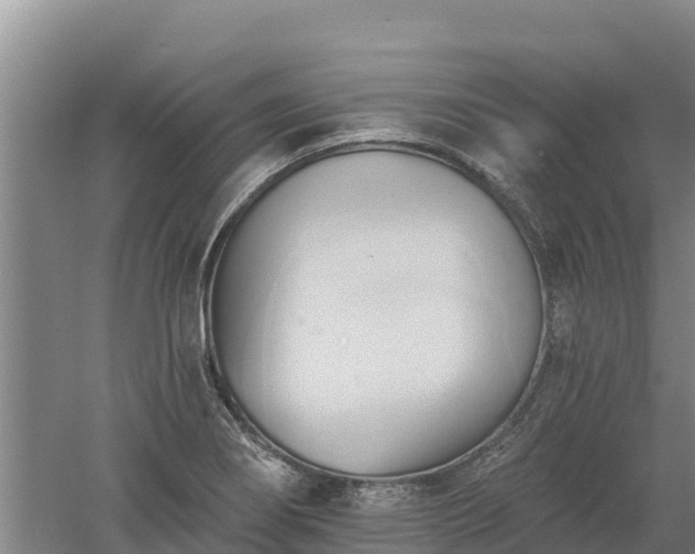 X0000060561274200511101554