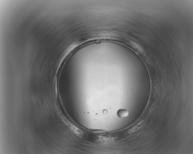 X0000060561275200511101554