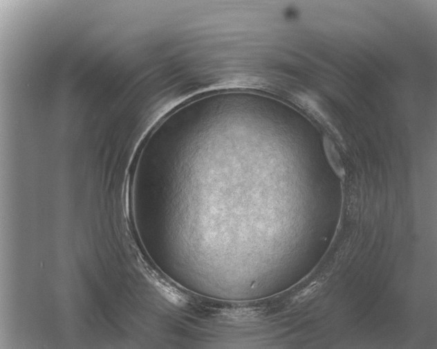 X0000060561276200511101554