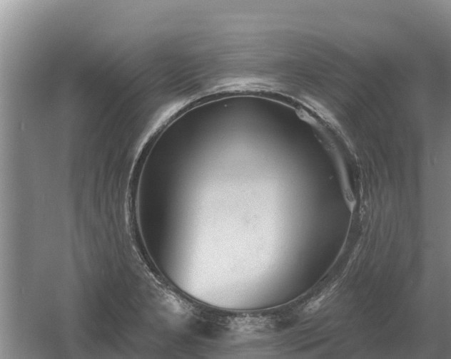 X0000060561277200511101554