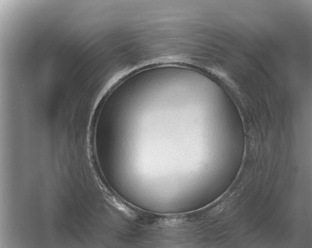 X0000060561278200511101554