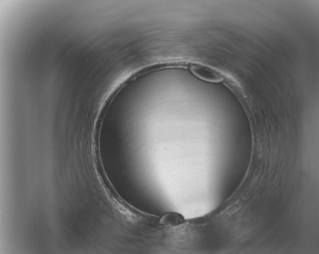 X0000060561279200511101554