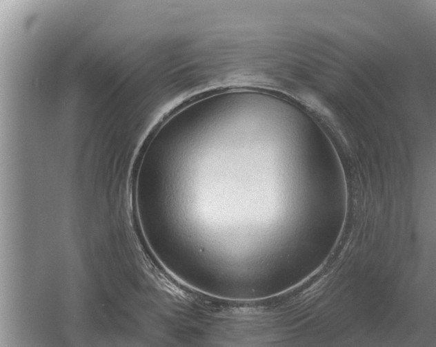 X0000060561280200511101554