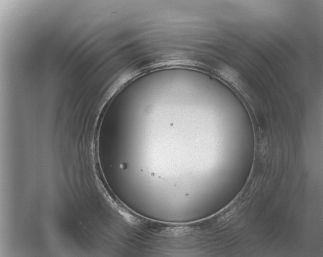 X0000060561282200511101554