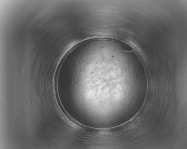 X0000060561283200511101554