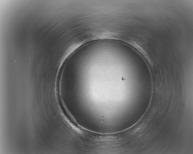 X0000060561285200511101554