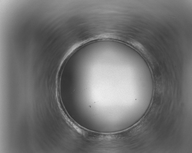 X0000060561286200511101554