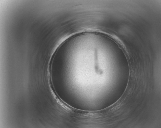 X0000060561287200511101554