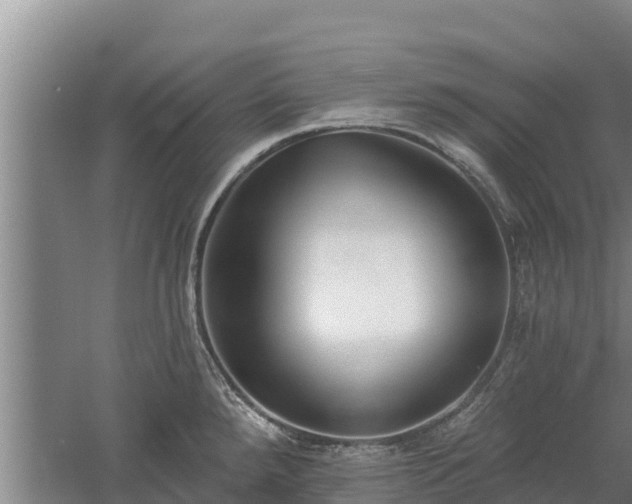 X0000060561288200511101554