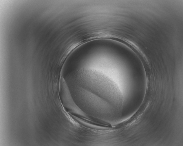 X0000060561289200511101554