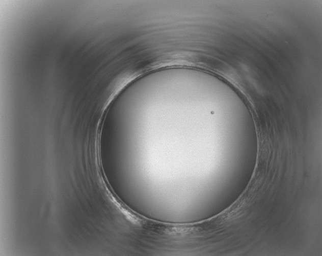 X0000060561290200511101554