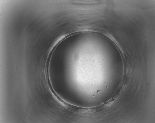 X0000060561293200511101553