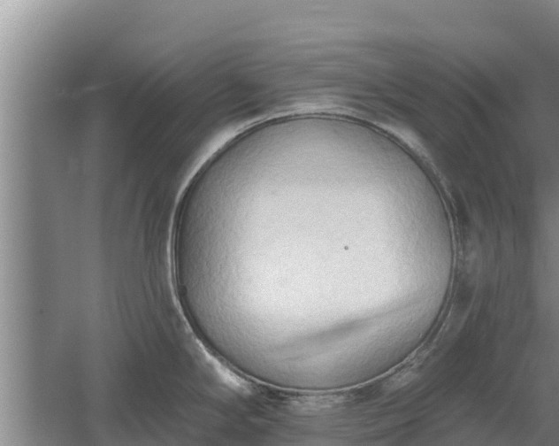 X0000060561294200511101553