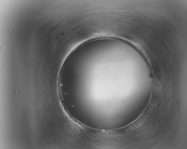 X0000060561295200511101553