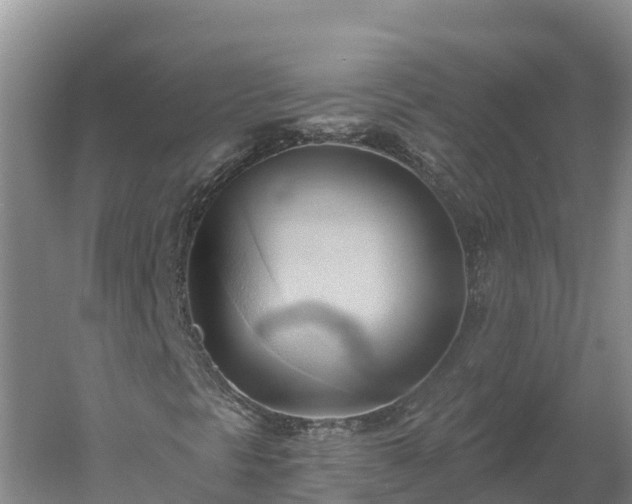 X0000060561297200511101553